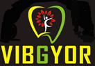 vibgyor